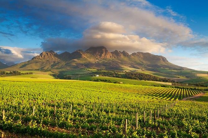 capewines